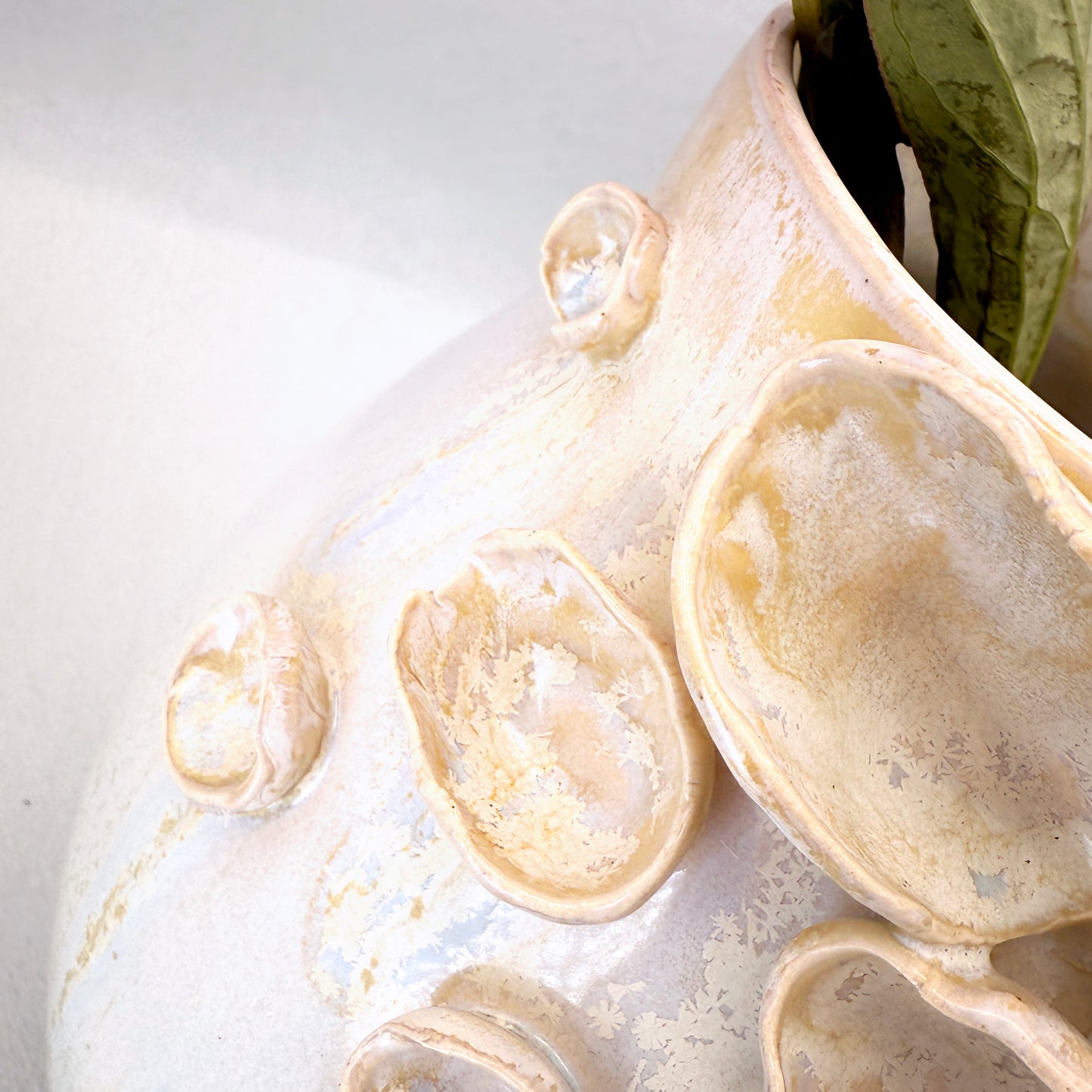 Bloomare – Sculptural Vase