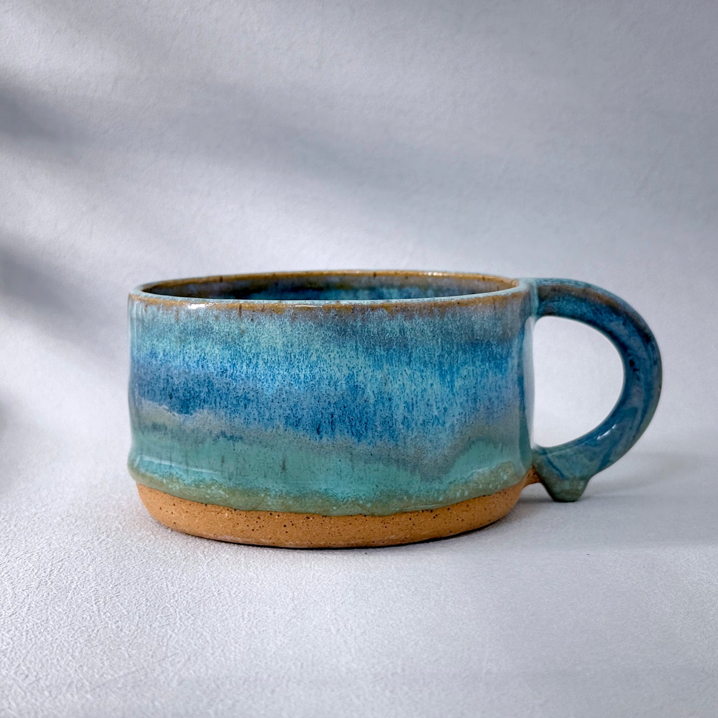 Tidepool Mugs (Set of 2)