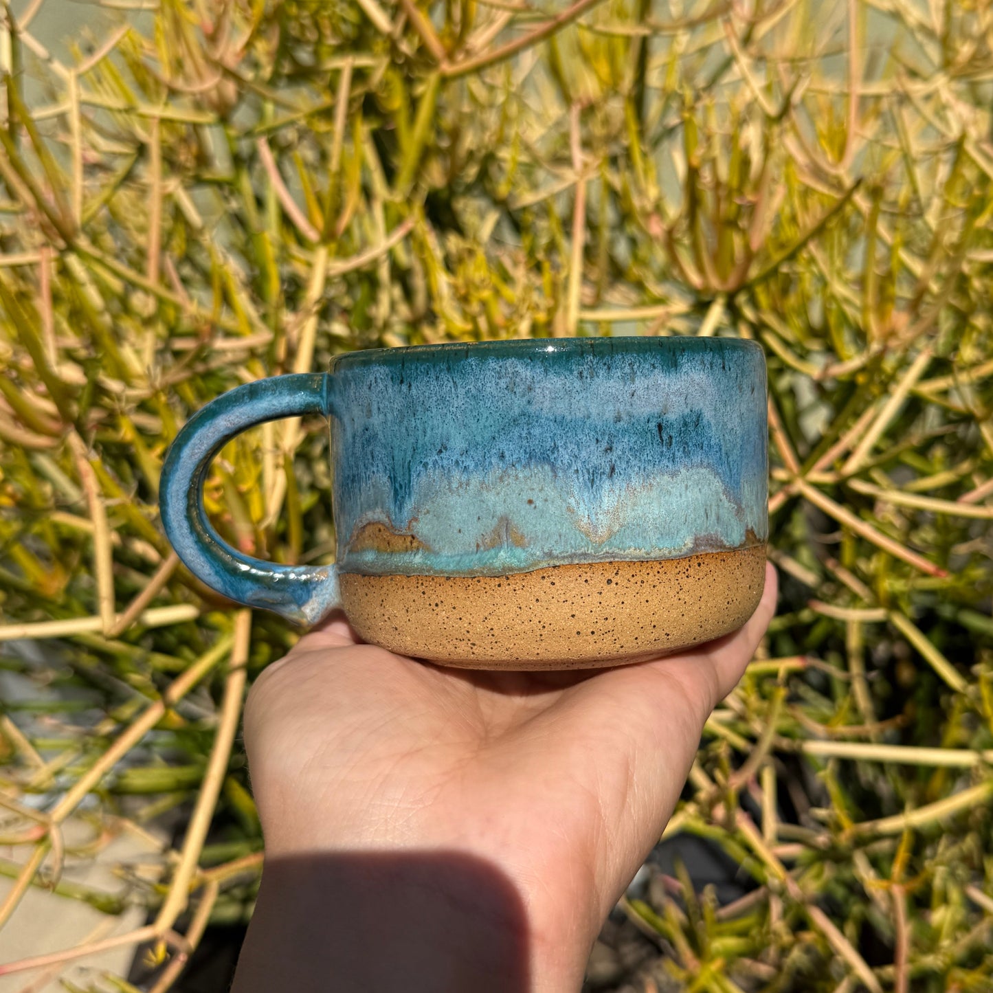Calm Tidepool Cups